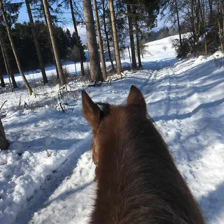 Fewos Wuzella Faaker Sonnenblume شقة *