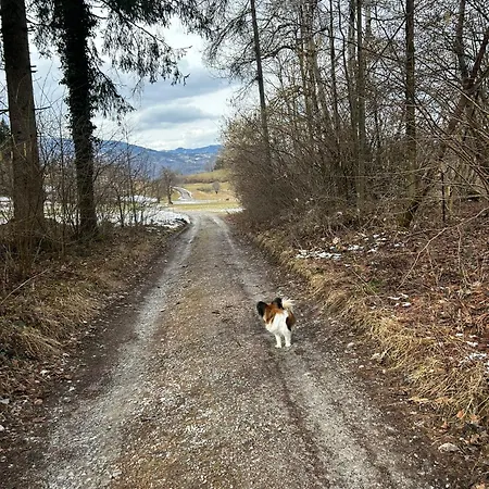 شقة Fewos Wuzella Faaker Sonnenblume *