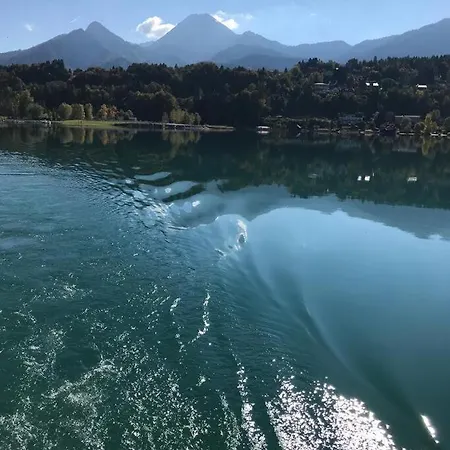 Fewos Wuzella Faaker Sonnenblume