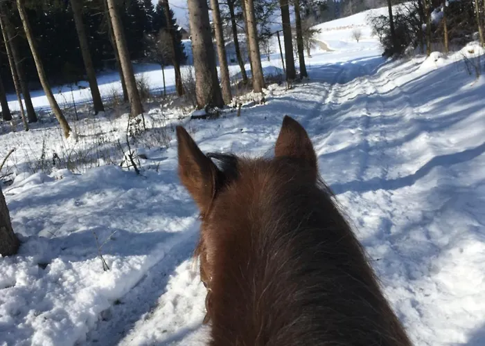 Fewos Wuzella Faaker Sonnenblume Apartmán *