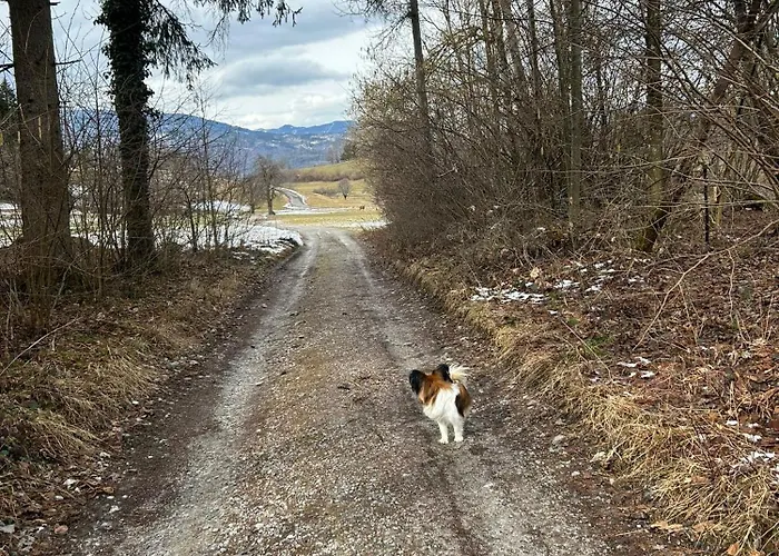 Apartmán Fewos Wuzella Faaker Sonnenblume *