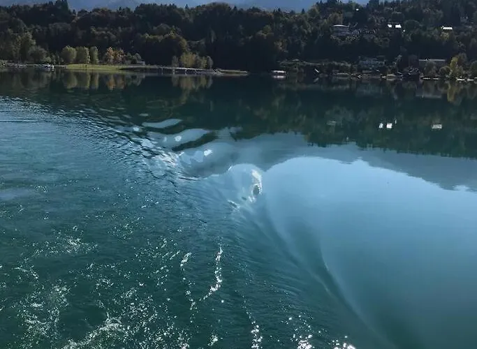 Fewos Wuzella Faaker Sonnenblume